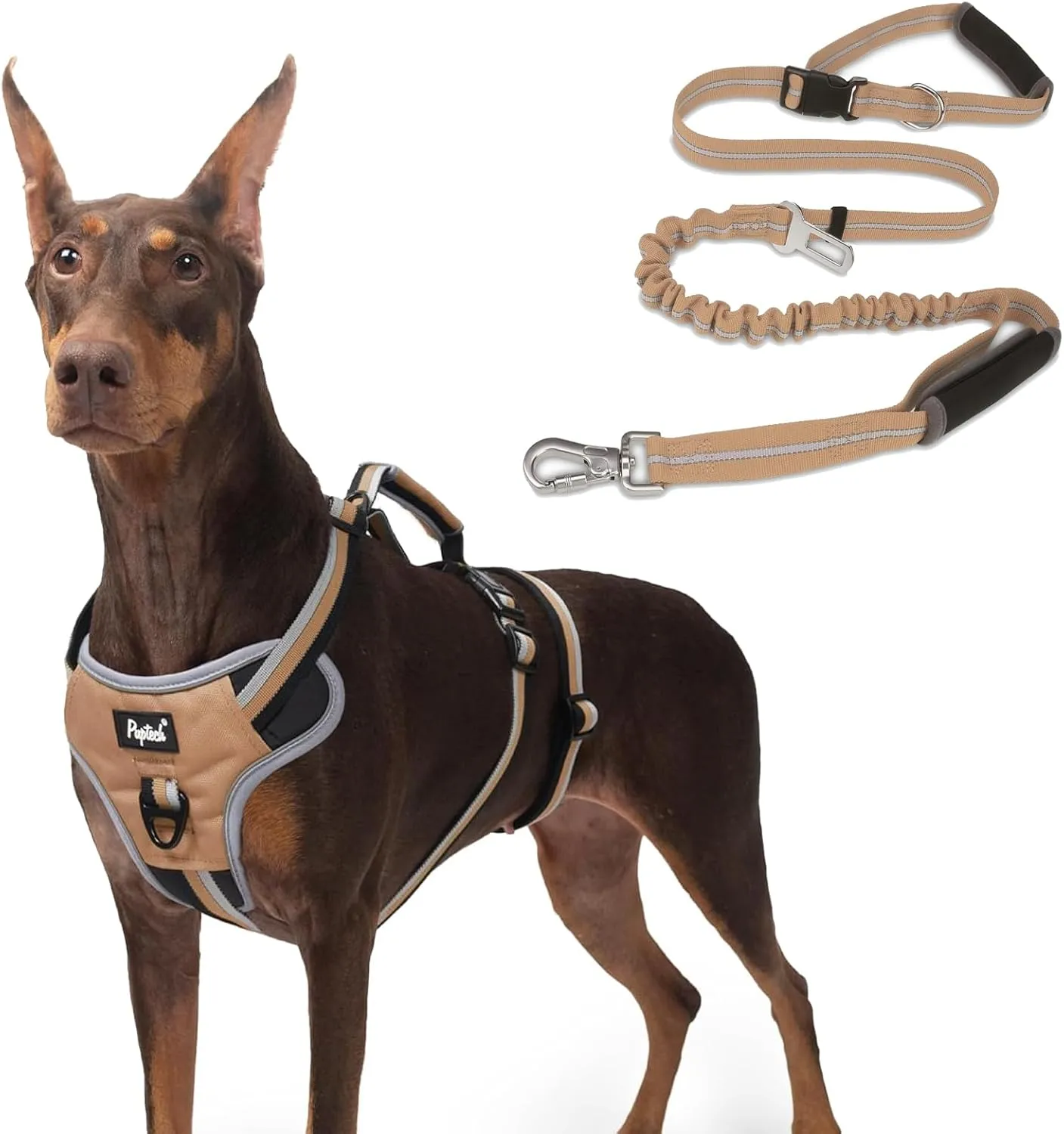 PUPTECK Escape Proof Dog Harness and Heavy Duty Bungee Dog Leash Set for Medium Large Dogs