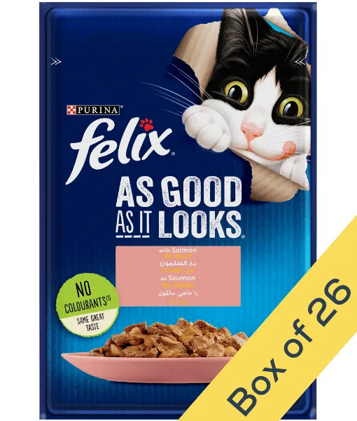 Purina - Felix As Good As It Looks With Salmon In Jelly Wet Cat Food 85g