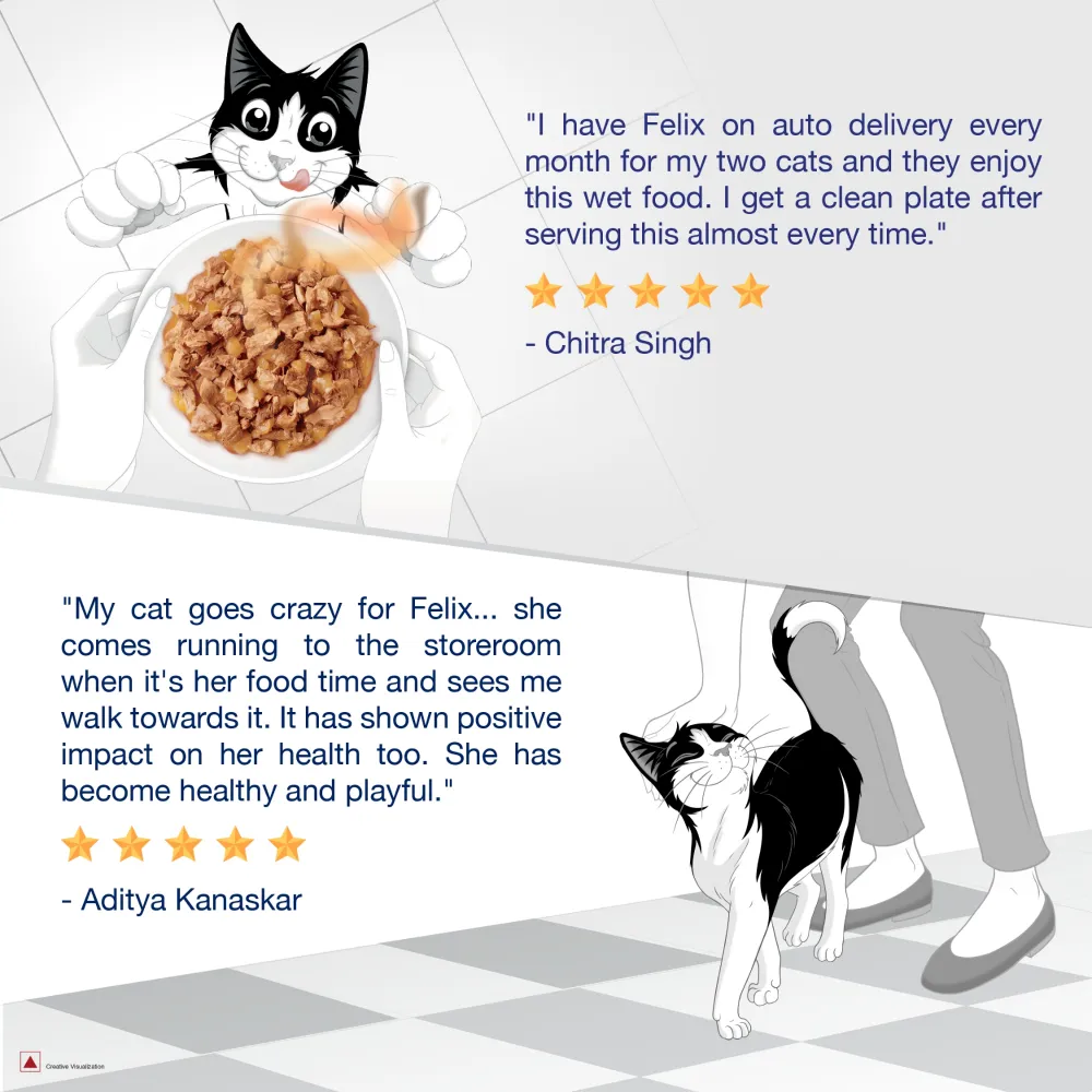 Purina Felix Chicken with Jelly Kitten Cat Wet Food