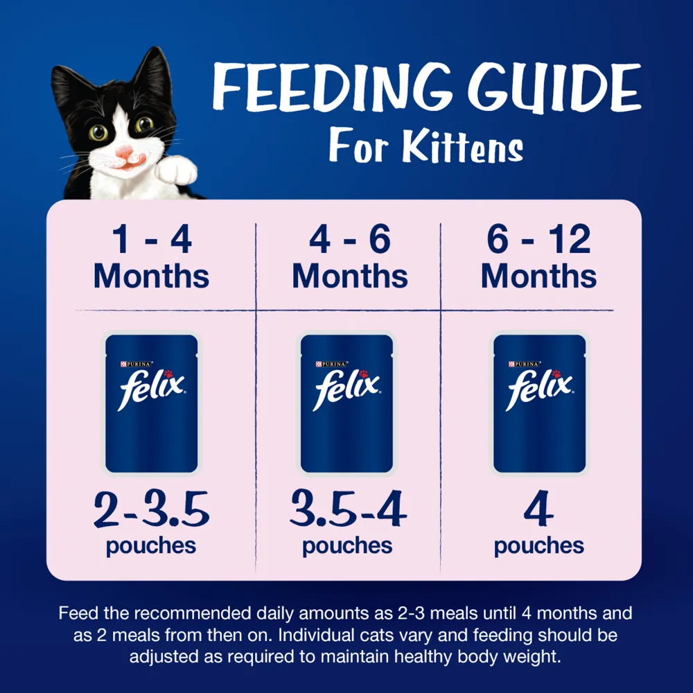 Purina Felix Chicken with Jelly Kitten Cat Wet Food