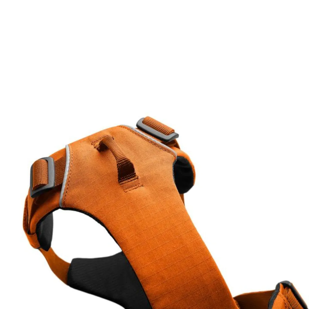 Ruffwear Front Range No-Pull Everyday Dog Harness (Hibiscus Pink)