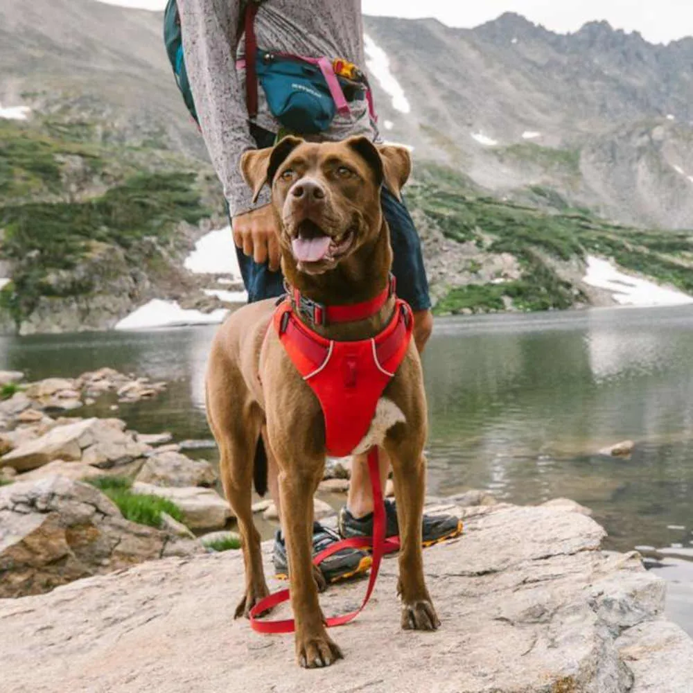 Ruffwear Front Range No-Pull Everyday Dog Harness (Purple Sage)