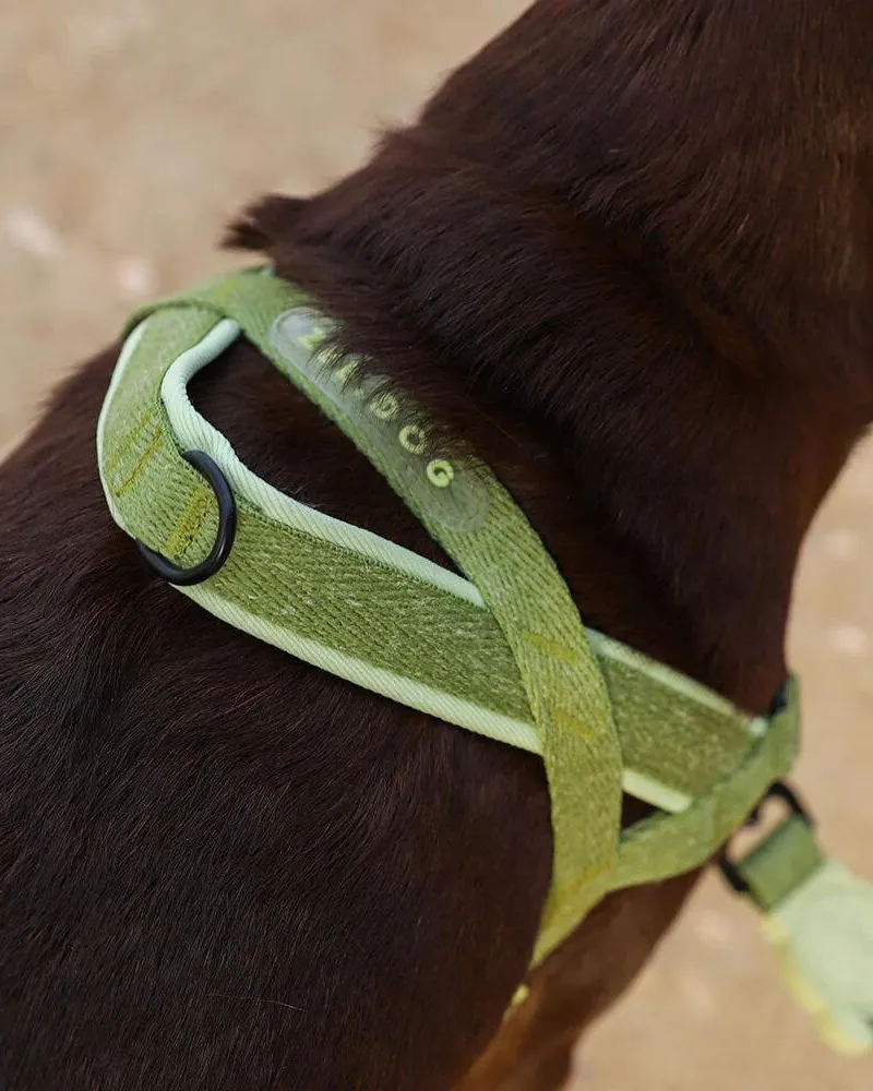 SofterWalk No-Pull Dog Harness in Moss