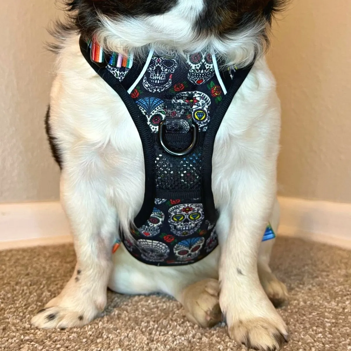 Sugar Skulls No Pull Dog Harness