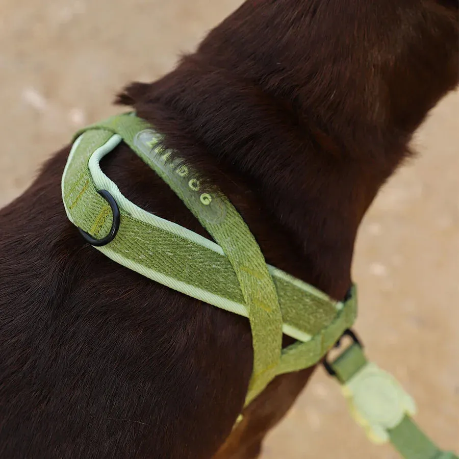 Zee.Dog Naturals Collection Soft-Walk No-Pull Dog Harness (Moss)