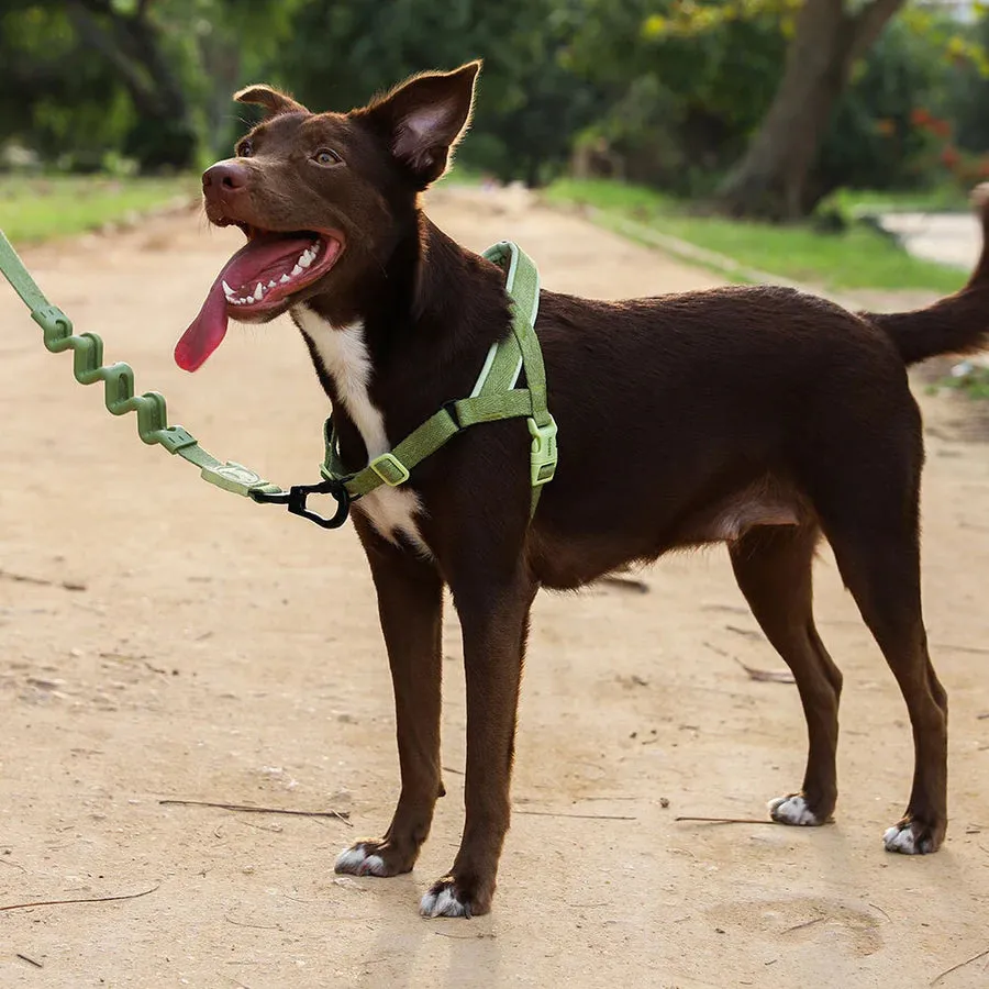 Zee.Dog Naturals Collection Soft-Walk No-Pull Dog Harness (Moss)