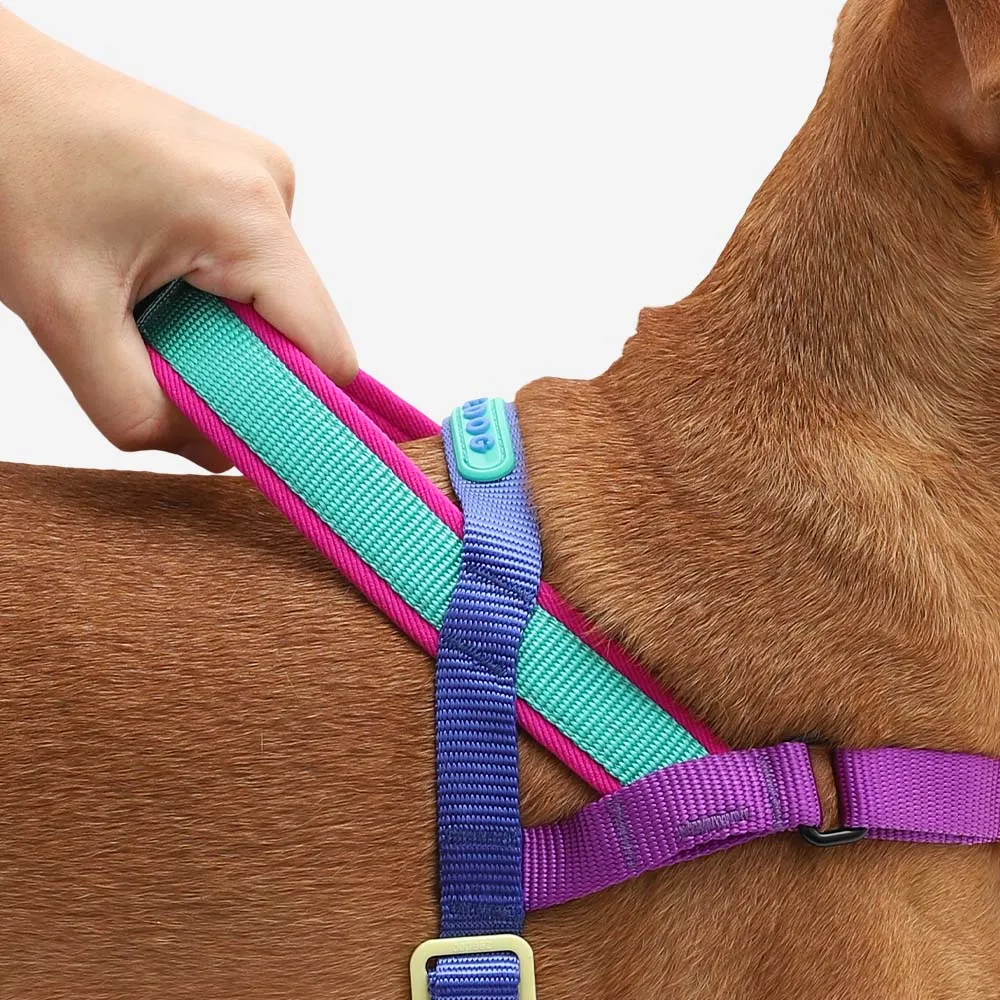Zee.Dog Softer Walk Shockwave Dog Harness Small