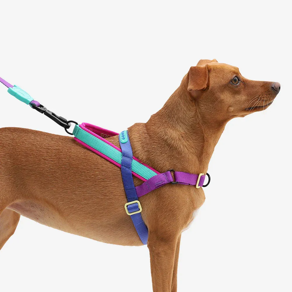 Zee.Dog Softer Walk Shockwave Dog Harness Small