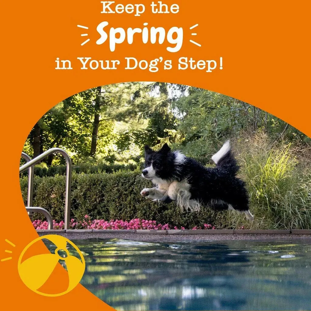 Zesty Paws Hip & Joint Mobility Bites Duck Flavored Chews for Dogs (90 ct)